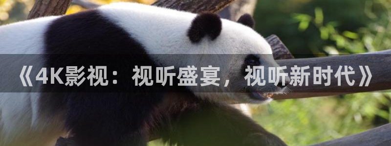 奇优影院手机版老版本