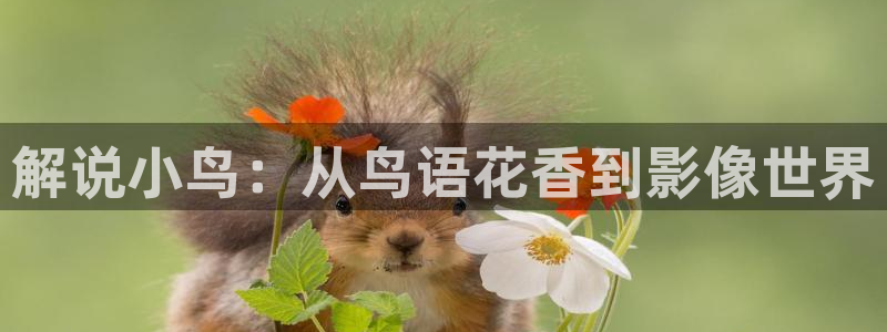 奇优影院免费高清电视剧在线观看