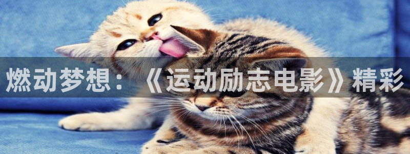 奇优影院年轻的母亲