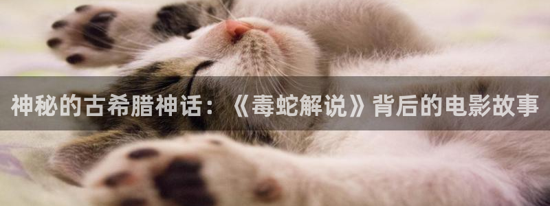 奇优影院热门电视剧