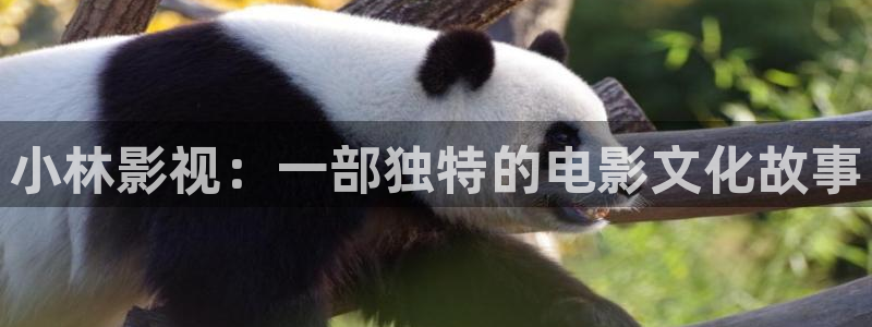电视剧北上免费看奇优影院