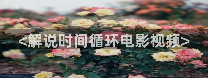 yy6090奇优影院