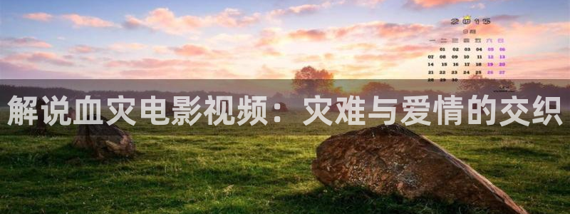奇优影院度华年