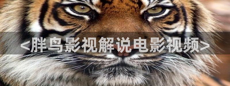 伦理片奇优影院