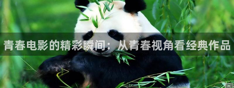 奇优影院旧版手机版高清电视剧