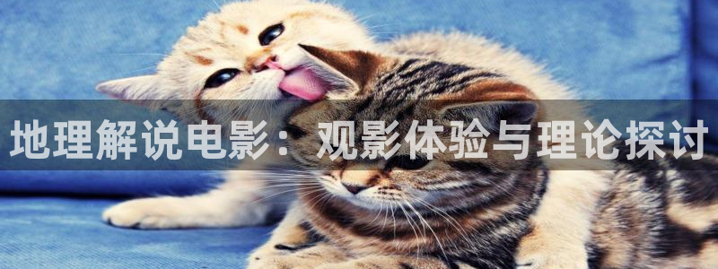 奇优影视新版本2021