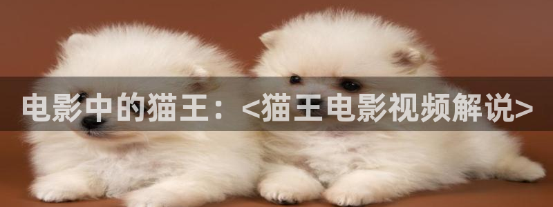 奇优影院最