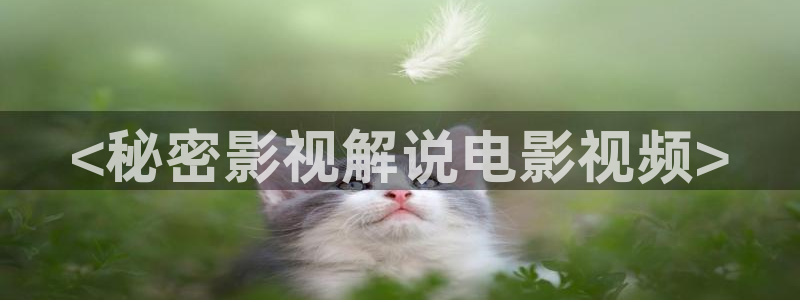 奇优影视理论