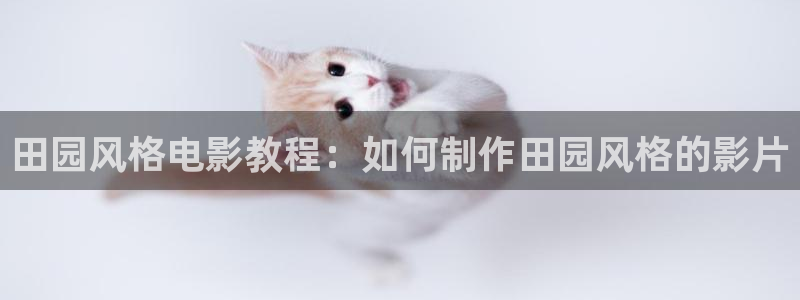 奇优影院看电影手机版