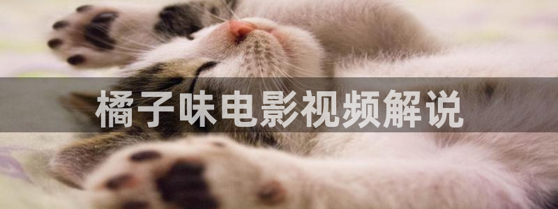 奇优影院免费观看电视剧