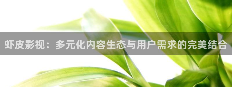 奇优影院改为啥名了：虾皮影视：多元化内容生态与用户需求的完美结合