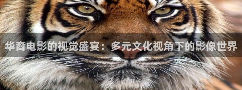 奇优影院电视剧免费版