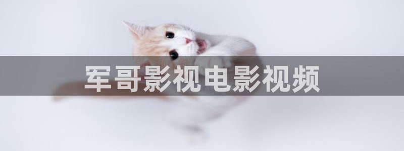 奇优影院手机版手机在线观看