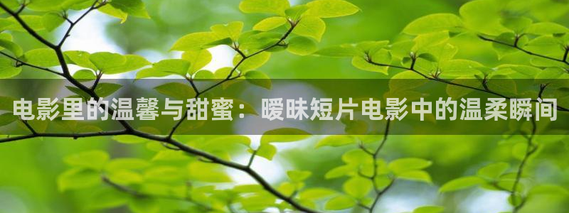 奇优影视手机版免费版下载