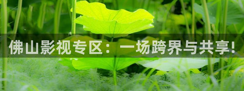 奇优影院手机版登录