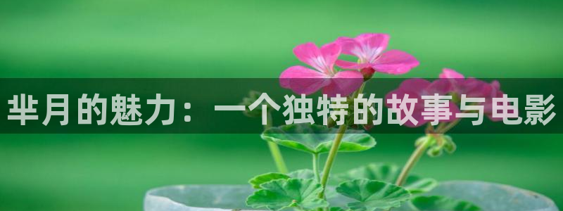 奇优影院手机版登录入口
