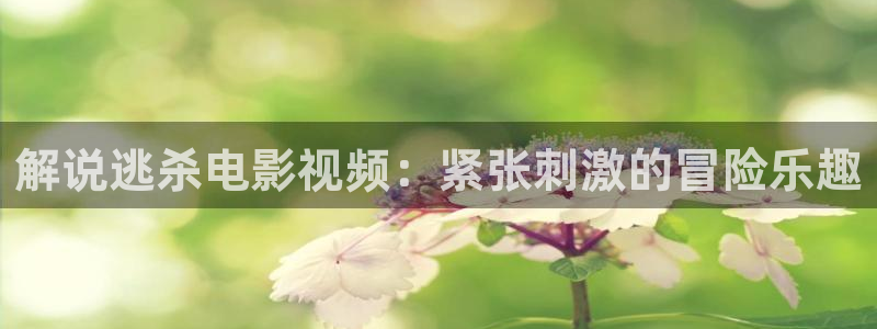 奇优影院手机版电视剧有哪些