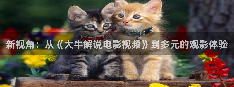 奇优影院手机版登录