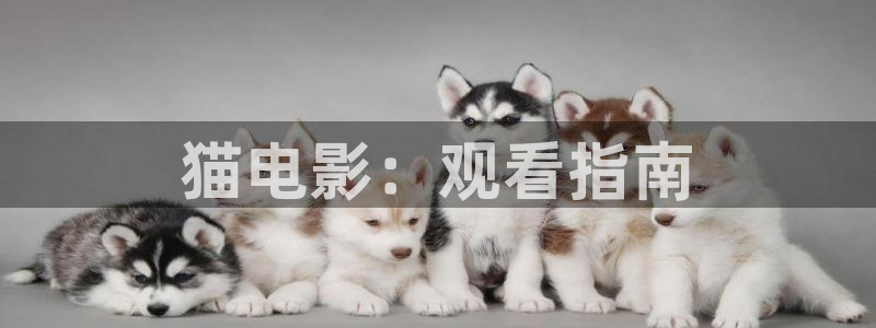 奇优影院在线免费看