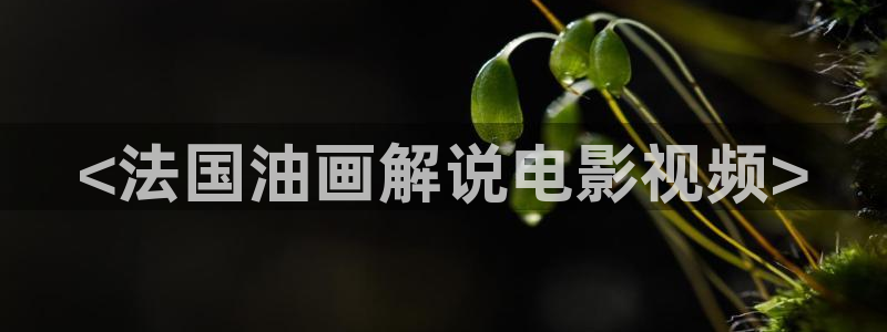 电视剧北上免费看奇优影院：<法国油画解说电影视频>