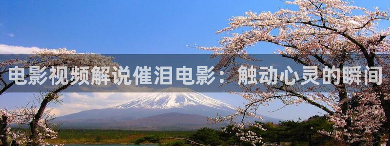 奇优影院电视剧在线高清免费观看：电影视频解说催泪电影：触动心灵的瞬间