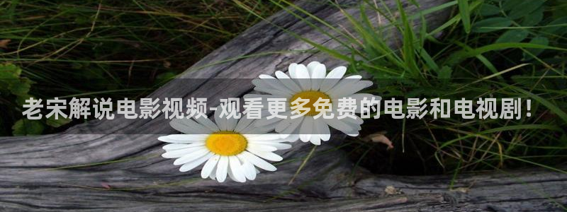 年轻的母亲奇优影院：老宋解说电影视频-观看更多免费的电影和电视剧！