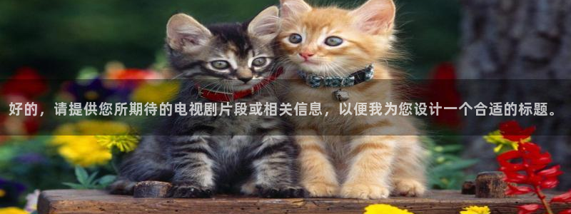 奇优影视在线观看官网