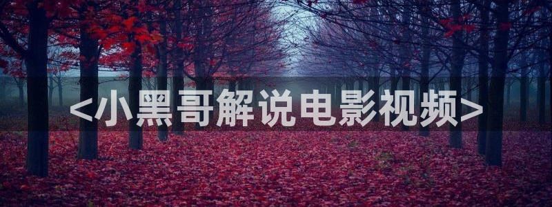 奇优影院电视剧高清免费观看