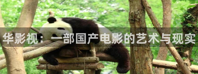 奇优影院新电影