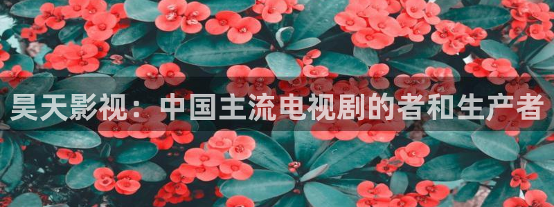 奇优影院手机版手机在线观看